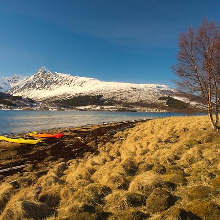Solhov, Castle Of The Lyngen Alps Hotel Lyngseidet Bagian luar foto