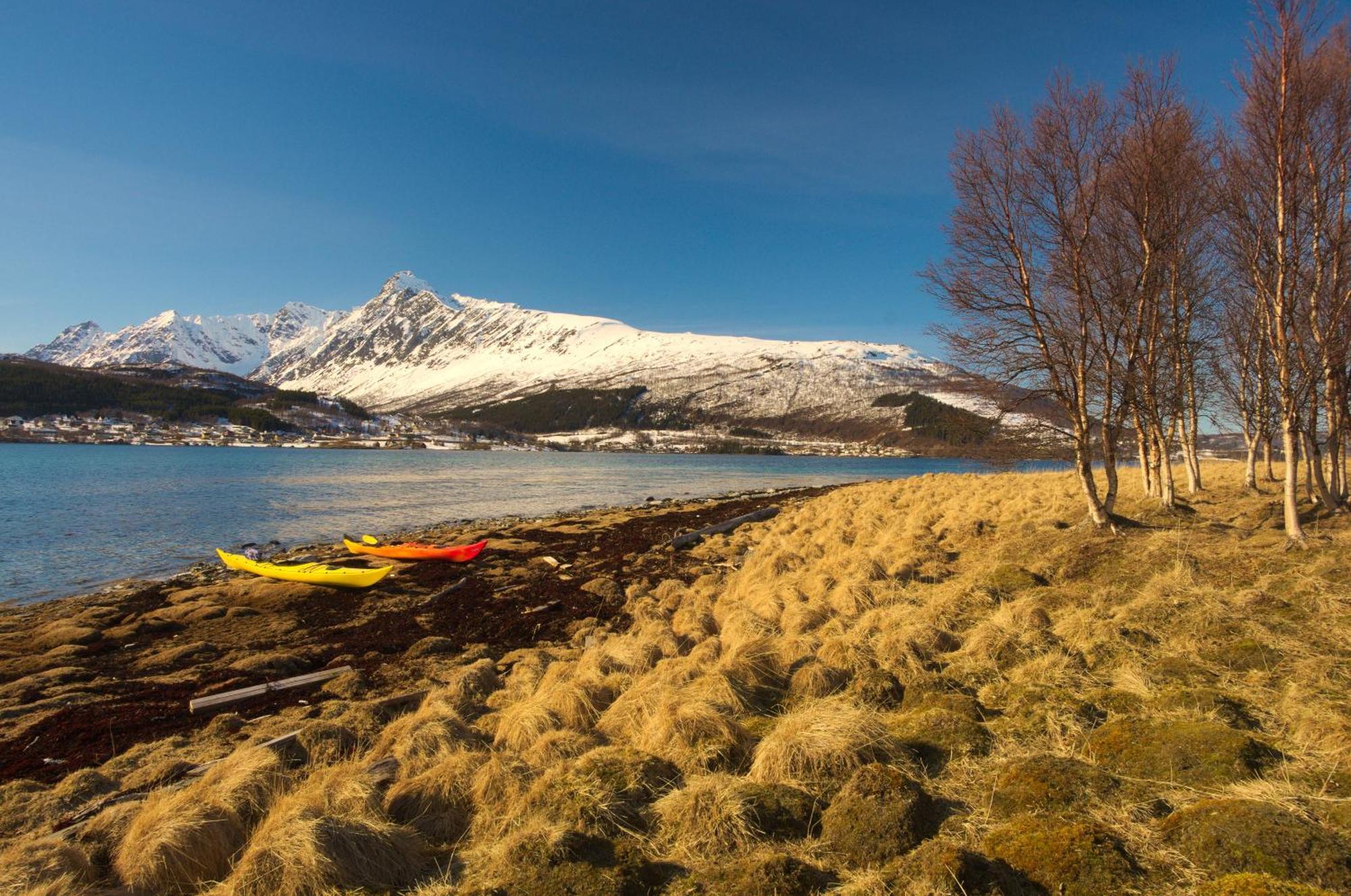 Solhov, Castle Of The Lyngen Alps Hotel Lyngseidet Bagian luar foto