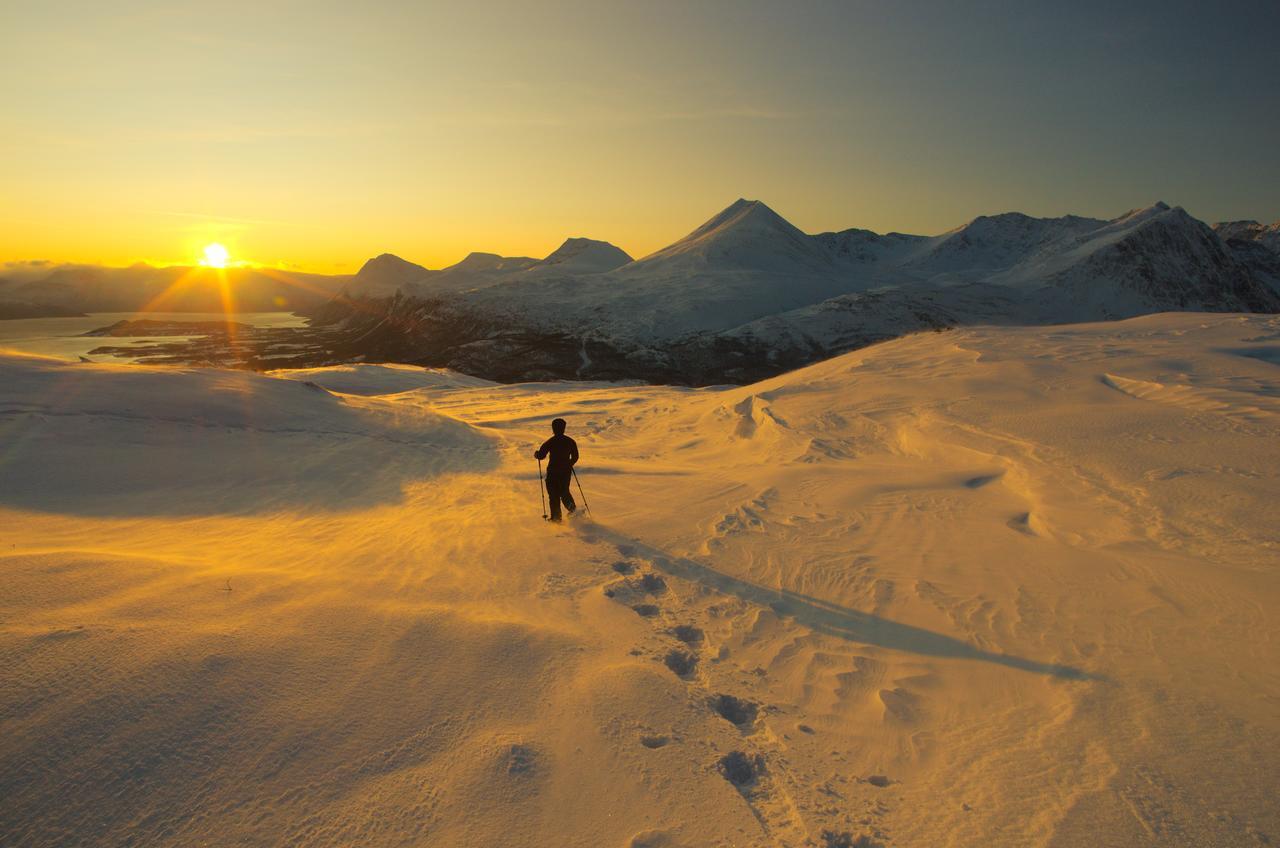 Solhov, Castle Of The Lyngen Alps Hotel Lyngseidet Bagian luar foto