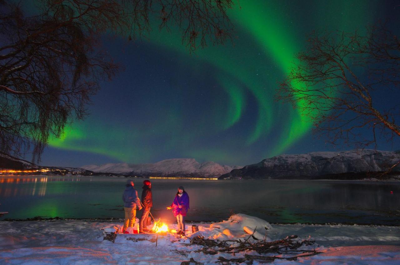 Solhov, Castle Of The Lyngen Alps Hotel Lyngseidet Bagian luar foto